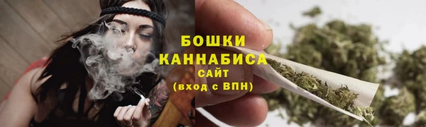 ПСИЛОЦИБИНОВЫЕ ГРИБЫ Наволоки