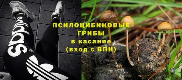 тгк Навашино