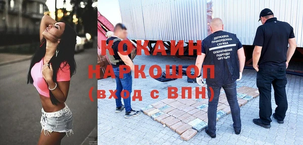 крисы Грязовец
