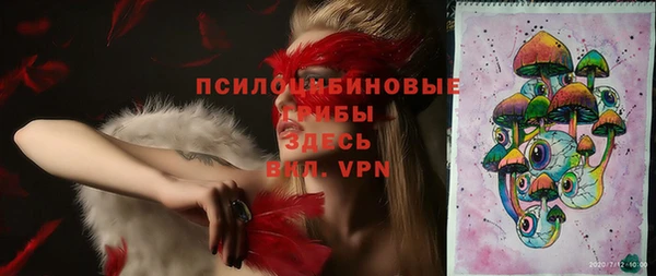 ПСИЛОЦИБИНОВЫЕ ГРИБЫ Наволоки